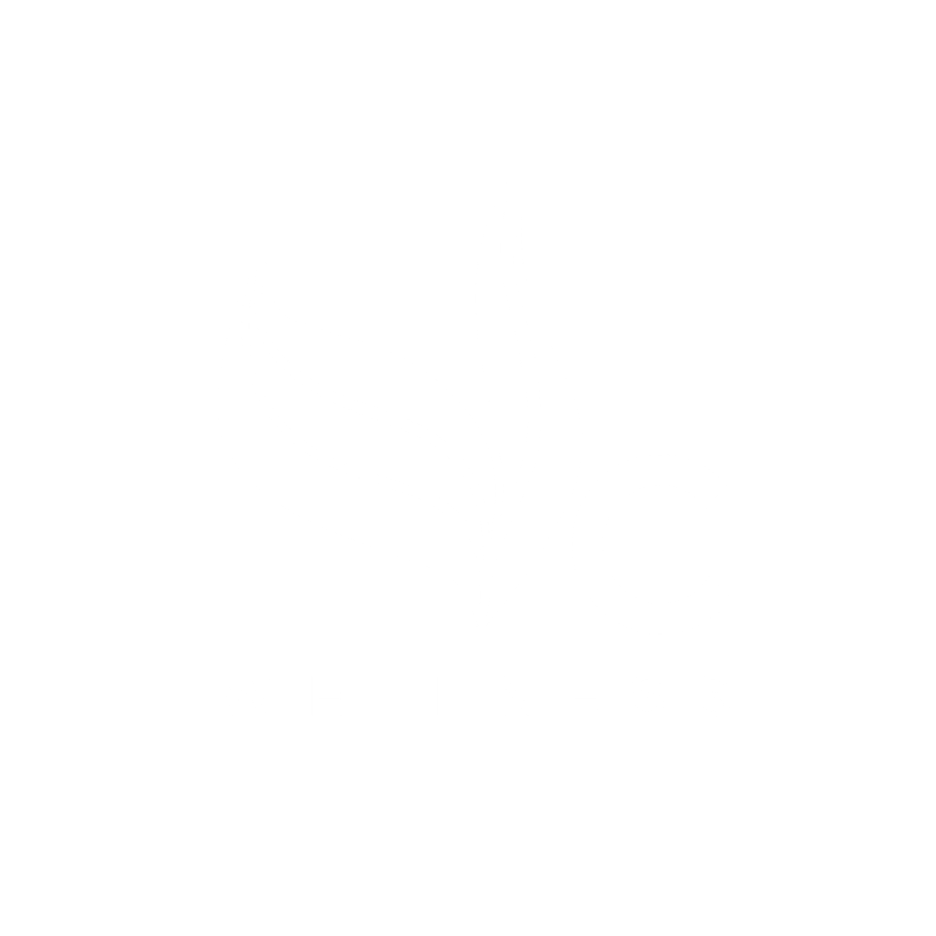 VC Wellness